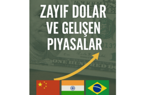 jp-morgan-2025te-dolar-zayif-kalacak-gelisen-piyasalar-icin-firsat-dogabilir-YgNOdqO4.png