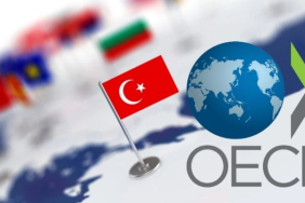 oecdden-turkiye-ekonomisi-icin-yeni-buyume-ve-enflasyon-tahminleri-Uk3yiXd4.jpg