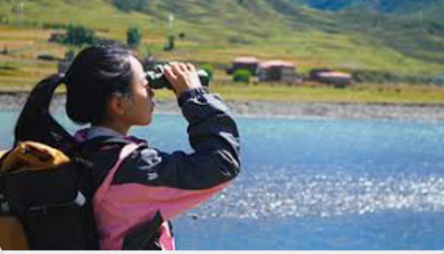 Ahlatcı Yatırım’dan 4. Çeyrek Kâr Görünümü: Bankalarda Toparlanma, Sanayide Oynaklık